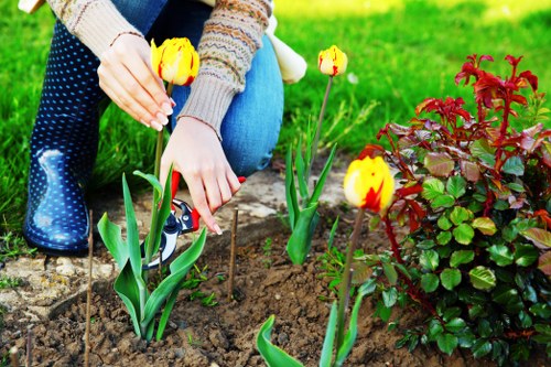 Gardener pruning plants in Ilford garden